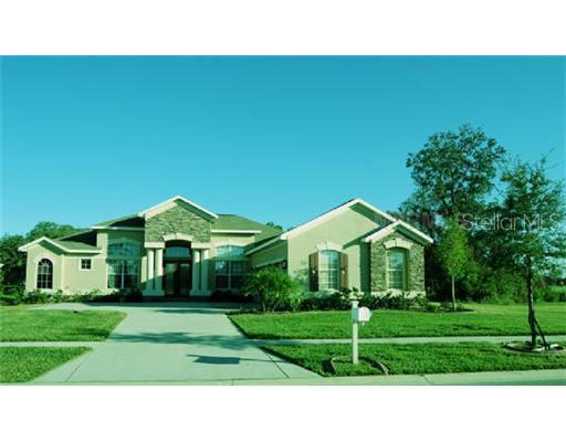1409 Brilliant Cut Way, Valrico, FL 33594