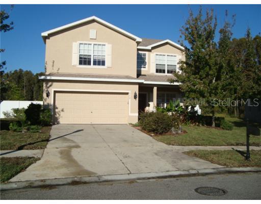 6117 Desert Peace Ave., Land O Lakes, FL 34639