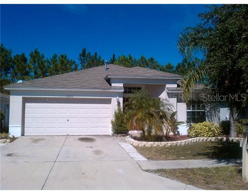 19645 Bellehurst Loop, Land O Lakes, FL 34638