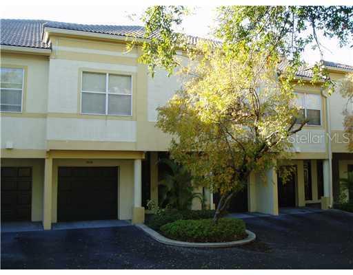 909 Normandy Trace Rd. #-, Tampa, FL 33602