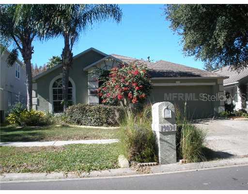 19034 Chemille Dr., Lutz, FL 33558