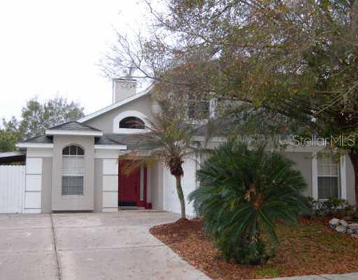 28534 Tall Grass Dr., Wesley Chapel, FL 33543