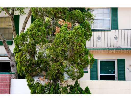 9806 Overlook Dr., Temple Terrace, FL 33617
