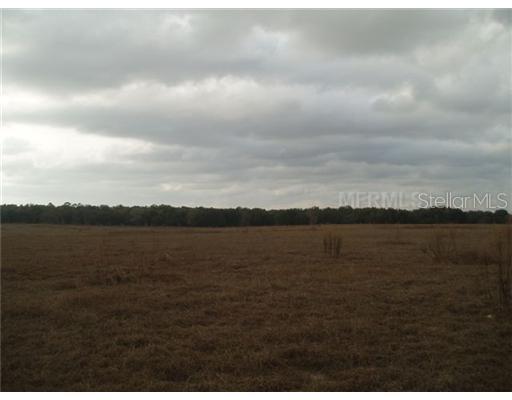 10201 Sw 250th St., Newberry, FL 32669