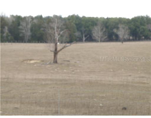 Christian Rd., Dade City, FL 33523