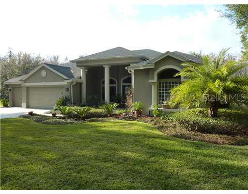 418 Pine Bluff Dr., Lutz, FL 33549