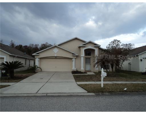 3419 Golden Eagle Dr., Land O Lakes, FL 34639