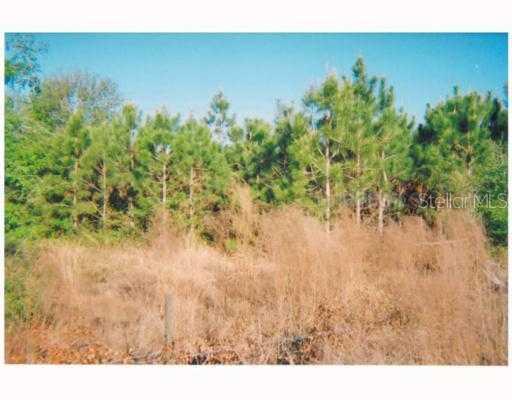 [Address Hidden by Seller], Lithia, FL 33547
