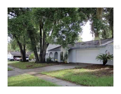 1207 Black Knight Dr., Valrico, FL 33594