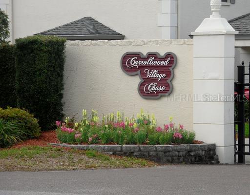 4509 Southampton Ct., Tampa, FL 33618