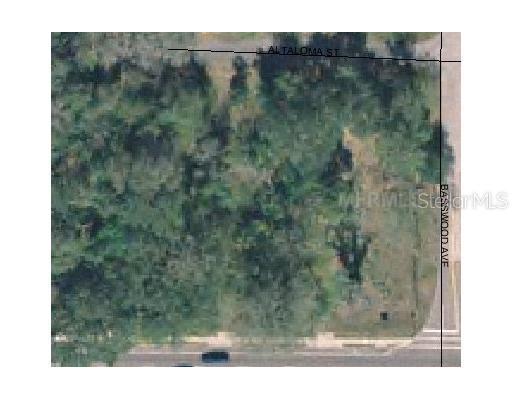 7509 Ehrlich Rd., Tampa, FL 33625