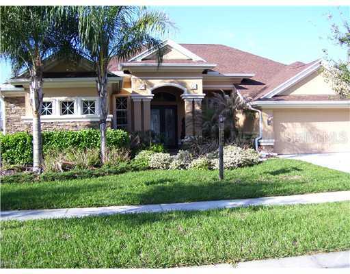 3919 Sorrel Vine Dr., Wesley Chapel, FL 33544