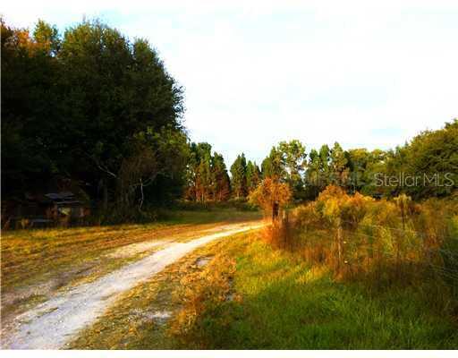 5012 Buddy Rogers Way, Plant City, FL 33565