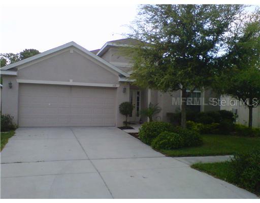 1171 Emerald Hill Way, Valrico, FL 33594