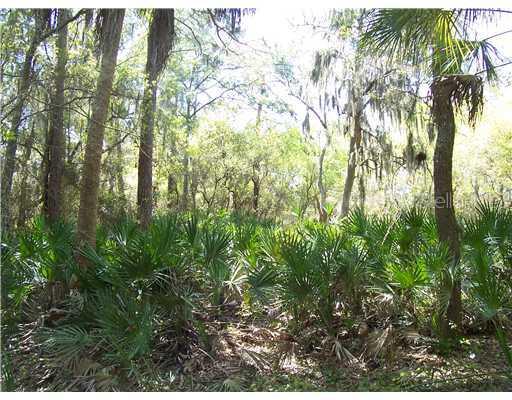 [Address Hidden by Seller], Wimauma, FL 33598