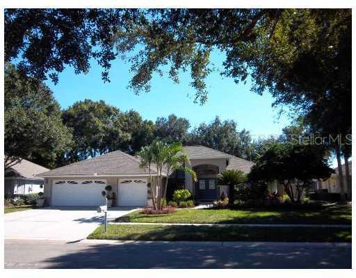 16619 Blenheim Dr. Dr., Lutz, FL 33549