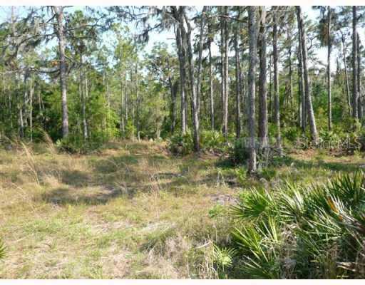 3212 Seminole Trail Tr., Wimauma, FL 33598