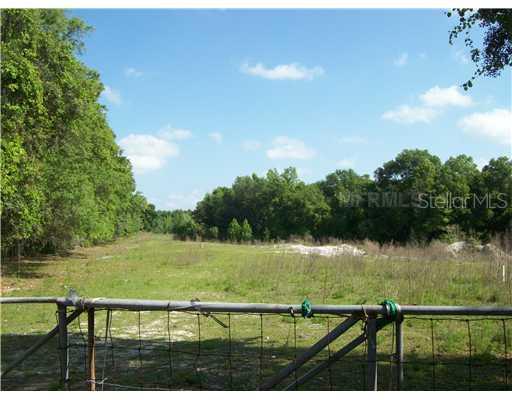 Spring Green Dr., Lutz, FL 33559