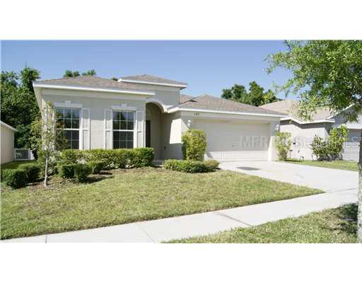 1180 Emerald Hill Way, Valrico, FL 33594