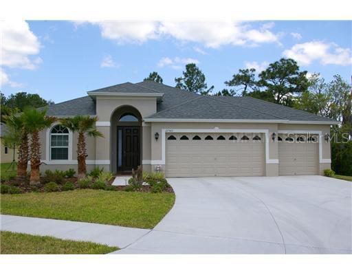 27501 Sora Blvd., Wesley Chapel, FL 33544