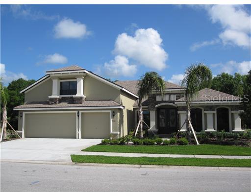 15141 Azra Dr., Odessa, FL 33556