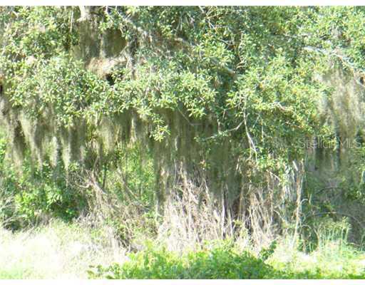 Timberlee Road, Wimauma, FL 33598