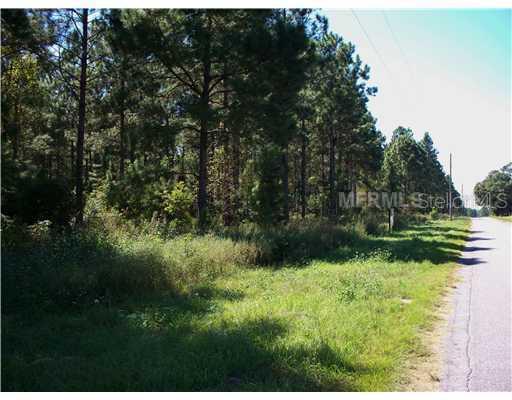 6698 Treefarm Ave., Beverly Hills, FL 34465
