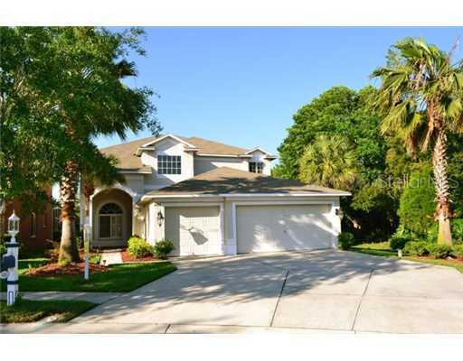 4201 Fishermans Lake Dr., Lutz, FL 33558