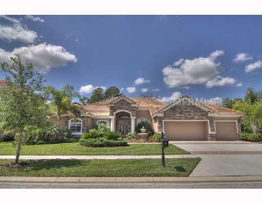 17238 Emerald Chase Dr., Tampa, FL 33647