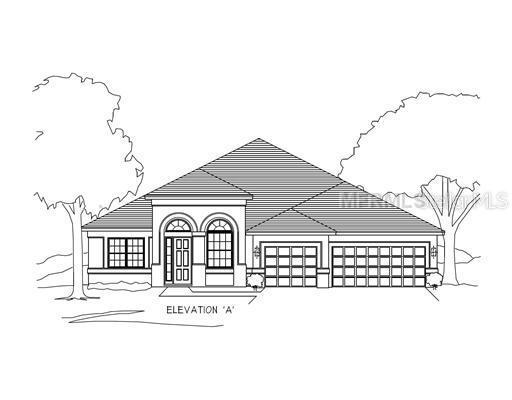 19302 Yellow Clover Dr., Tampa, FL 33647