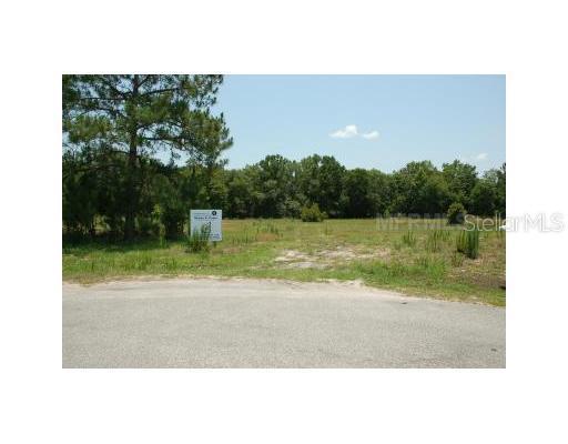 3407 Beautiful Ct., Lutz, FL 33559