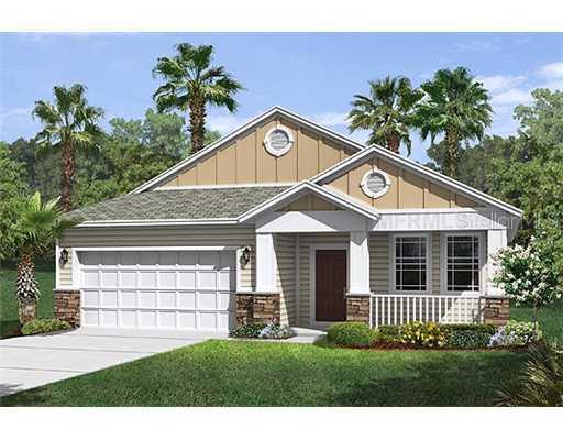 11554 Balintore Dr., Riverview, FL 33579