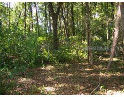 209 E Lutz Lake Fern Rd., Lutz, FL 33549