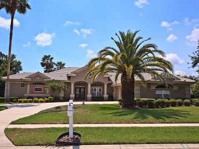 3878 Capitol Dr., Palm Harbor, FL 34685