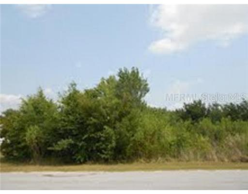 Hedgerow Dr., Zephyrhills, FL 33543