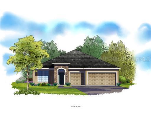 31536 Bearded Oak Dr., Wesley Chapel, FL 33543