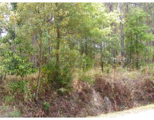 [Address Hidden by Seller], Lutz, FL 33558