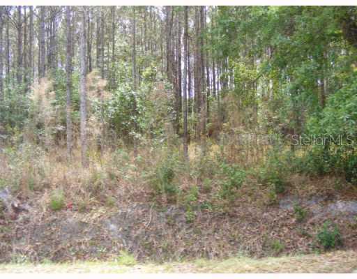 2009 Clement Rd., Lutz, FL 33549