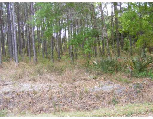 1951 Clement Rd., Lutz, FL 33549