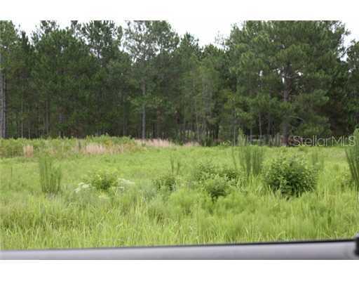 8029 Woodleaf Blvd., Wesley Chapel, FL 33544