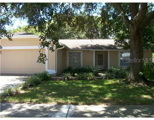 17508 Willow Pond Dr., Lutz, FL 33549