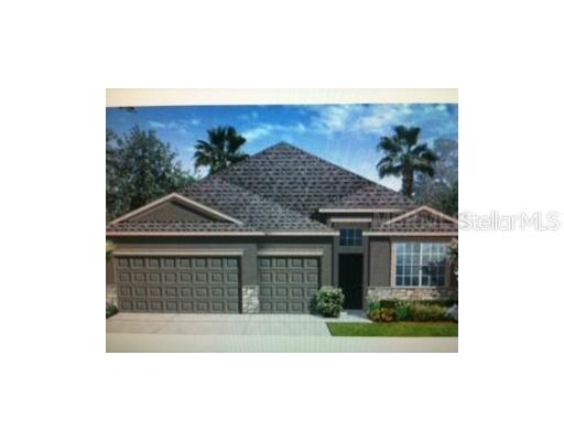 10698 Belmullet Dr, San Antonio, FL 33576