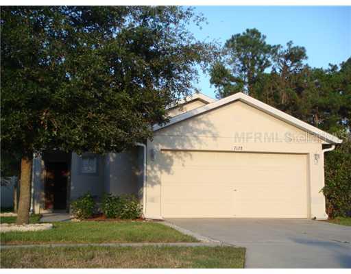 7128 Kendall Heath Way, Land O Lakes, FL 34637