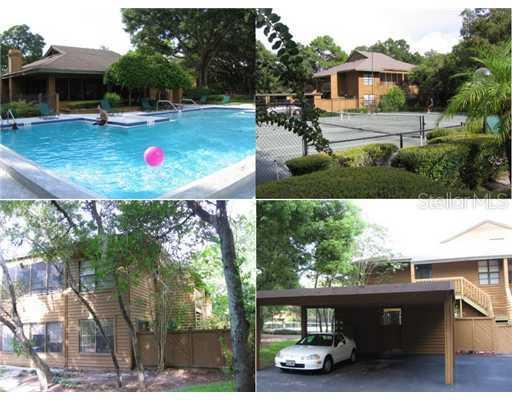 1807 Lennox Rd., Palm Harbor, FL 34683