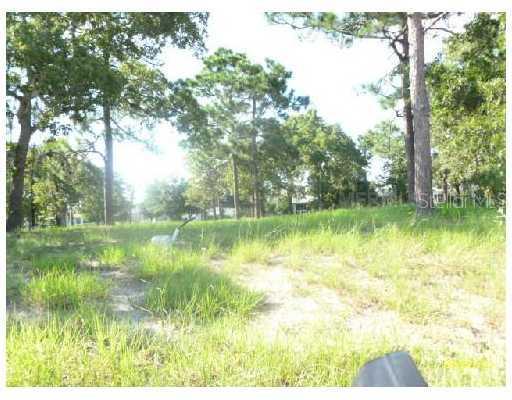 4063 Cedar Crest Loop, Spring Hill, FL 34609