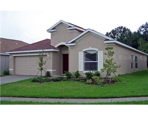 1172 Emerald Hill Way, Valrico, FL 33594
