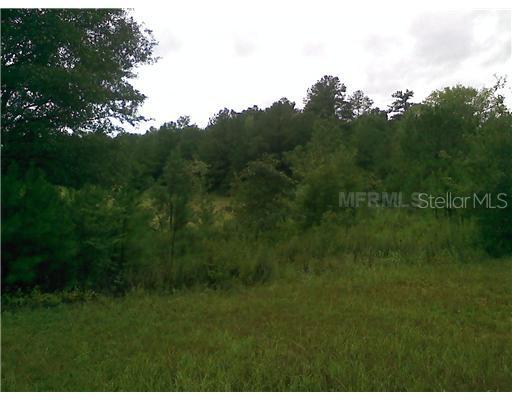 3106 Timberlee Rd., Wimauma, FL 33598