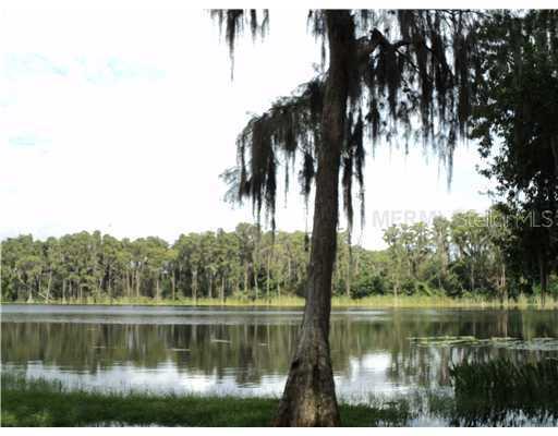 17911 Pepper Tree Ln., Lutz, FL 33548