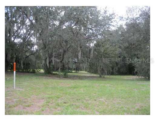 2505 Mexican Sun Dr., Lutz, FL 33559