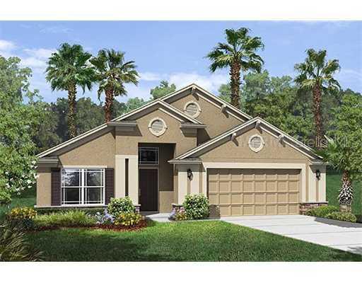 2121 Valterra Vista Way, Valrico, FL 33594
